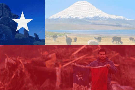 diegonotfound:  De que sirve ser chileno si no nos interesan nuestras raices, todos
