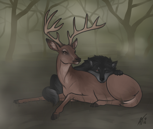 hungrylikethewolfie:jinxess:AU in which Stiles is a shapeshifter who’s preferred form is a stag.Thin