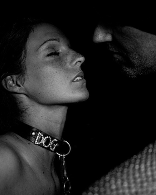 meh-ness:  He traced his finger over each of the letters on his pets collar “You are my dog—my lowly little she bitch” She closed her eyes and gave off a gentle nod “yes Master”. 