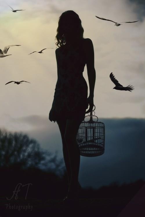 papabear6:  Letting you go. Setting you free. 