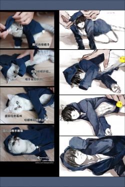 l33tzombie:  cats are the real anime 