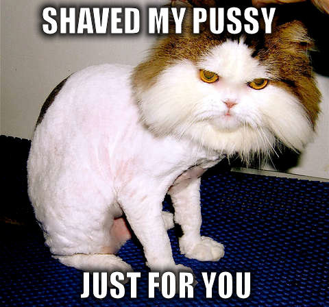 Shaved pussy