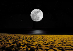 acureforreality-:  llbwwb:  Moon light (by g.fidias) 