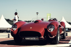 Nistphotography:  Testa Rossa On Flickr. Via Flickr: Concours D’elegance 2012 Belgrade