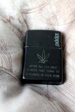 cannabis-lover:  ♥