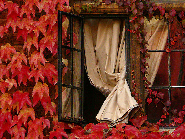    Autumn’s Calling by Víctor Ovies on Flickr. 