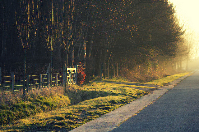 legs-up-and-down:  Right on time by Mathijs Delva on Flickr.