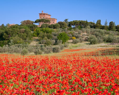 Palazzo Massaini: near Pienza, Italy by Mike Blanchette on Flickr.