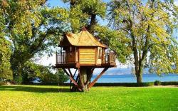 libbywho:  I’ve always dreamed of living in a tree house. 