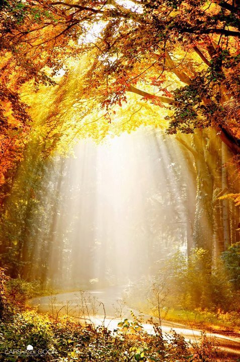 Celebrating The Seasons
