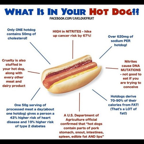 butthurtoveranalsexjokes:  mushrooomz:  Yuck  (Taken with Instagram)  Yes some valid points were ma