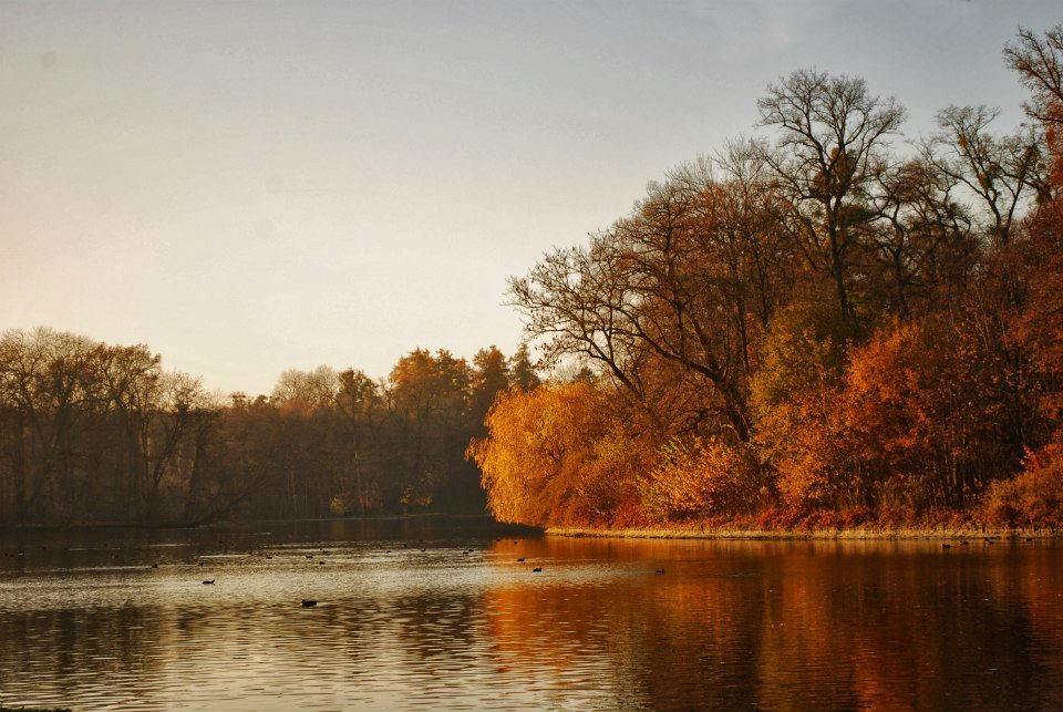 calantheandthenightingale:  moika-palace:   Nymphenburg gardens, 2011. Photographs