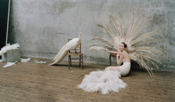 bohemea:  Jennifer Lawrence - W by Tim Walker, October 2012