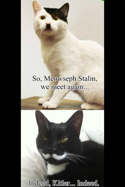 tastefullyoffensive:  [via] 