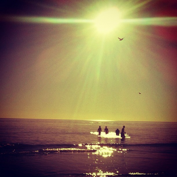 Summer days gone slipping away ☔ // #beachporn #australia #silhouettes #henley #radelaide #adelaide #instaadelaide #instagramadelaide #igersadelaide #summer #instasummer #xpro #cameraplus #iphonesia #iphoneonly #instasouthozzie #sunporn #lonelybirds...