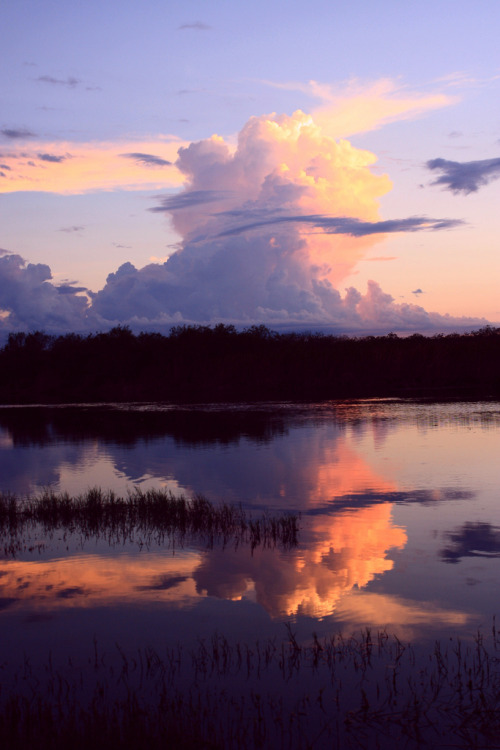 llbwwb:  Cloudburst Tower (by PelicanPete) 
