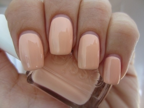 fashion N beauty