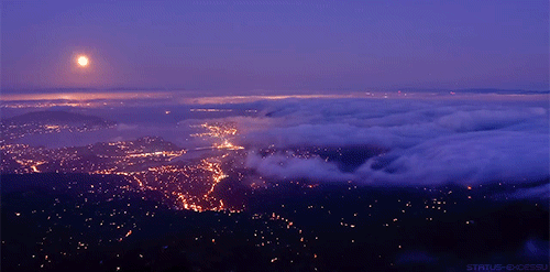 thezachact:  So gorgeous. 