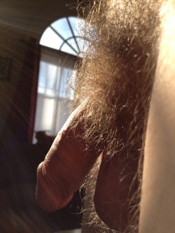 hot4hairy:  H O T 4 H A I R Y  Tumblr |  Twitter | Email HAIR HAIR EVERYWHERE! 