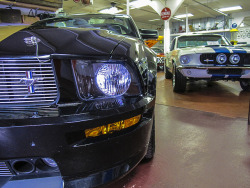 ford-mustang-generation:  Ford Shelby Mustang