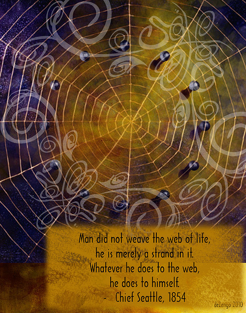 Chief Seattle : the Web of Life on Flickr.
Chief Seattle : the Web of Life
Man did not weave this web of life
he is merly a strand of it.
Whatever he does to the web,
he does to himself.
~Chief Seattle