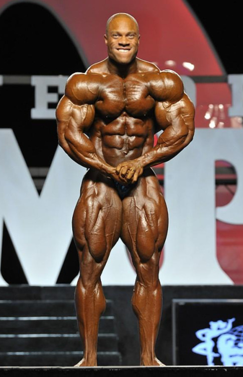 Pro BB:  Phil Heath