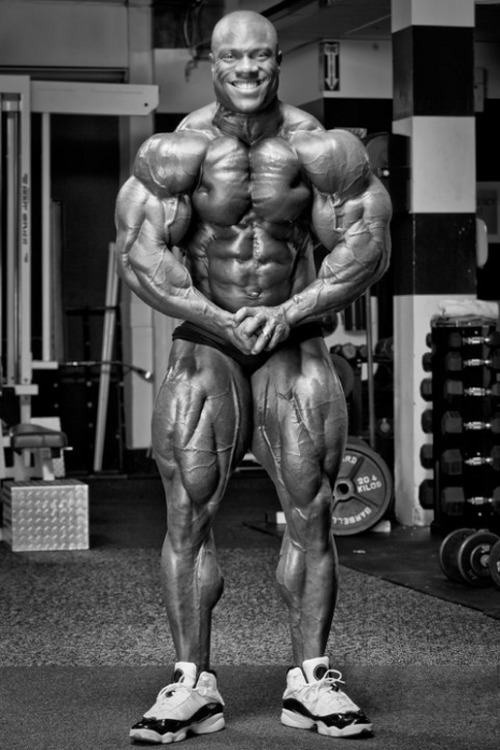 Pro BB:  Phil Heath