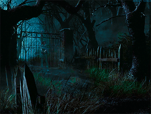 tumblr_macj71Pl9p1qkgl2co1_500.gif