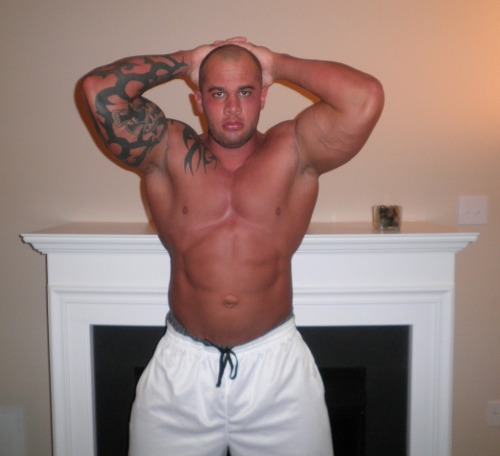 superbears:  SUPER CUTE BULL