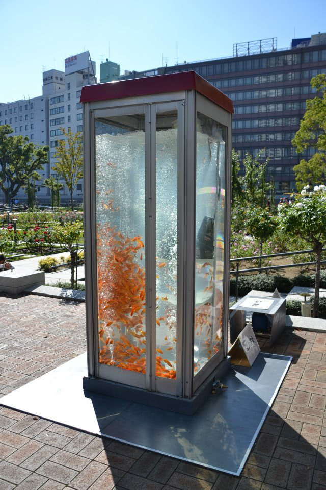 laughingsquid:  Goldfish Phone Booth Aquariums Installed in Japan by ‘Goldfish