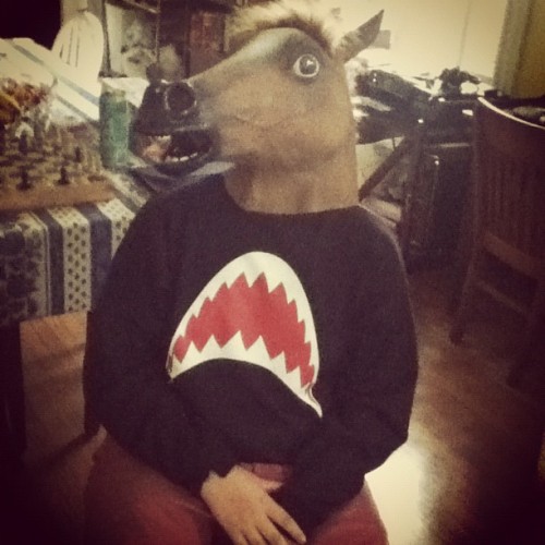 donovan has become the horse (Taken with Instagram)