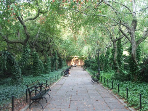 Conservatory Garden Central Park allée, one of two in the Italianate section of the garden. The tree