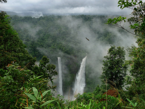 creaturing: Tad Fane waterfall thundering down