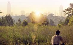 alainashuffman:  “Everything you ever were or ever will be… gone.” 