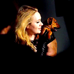fucking delly-cat
