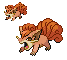 rattata and vulpix