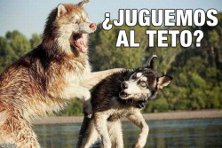 JAIDEFINICHON - TERRIBLE DE HD