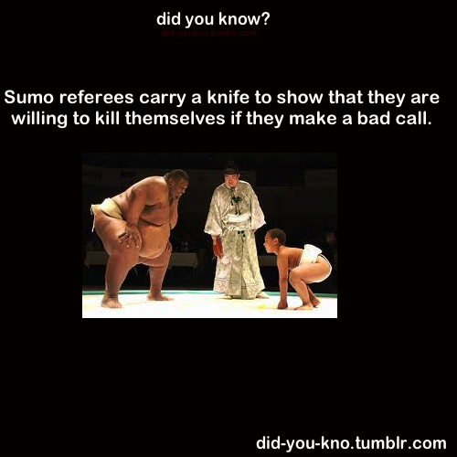 did-you-kno:  Source  They don&rsquo;t fuck around!