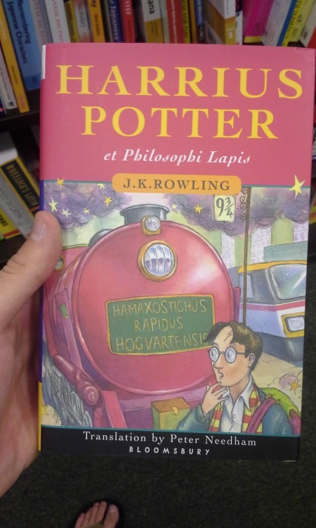 therangerofthenorth:bookhobbit:alexandraerin:afunnyfeminist:animusperplexus:pochamarama:Harry Potter