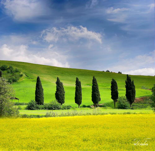 The colors of nature by Daniele Forestiere