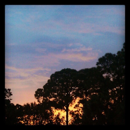 #sunrise #sky #clouds #pretty #trees #772 #fortpierce #Florida #southflorida #eastcoast #ig (Taken w