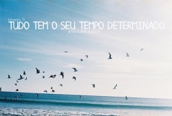 https://69.media.tumblr.com/tumblr_mae9qz8IYB1r6y8k8o1_500.jpg
