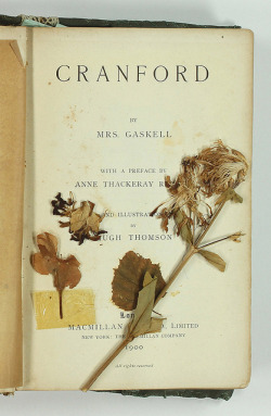 novsaut:  Cranford title page and pressed flowers  