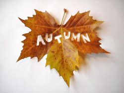 Let's Fall In Love with Autumn!