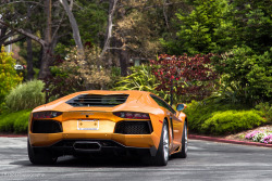 automotivated:  Gold Digger (by Effspots)