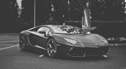 datcarblog:  crash—test:  Lamborghini Aventador