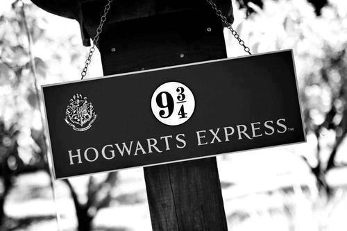parasemprehpotter:  Tumblrdore’s Army - Página potterhead no face, curte? 