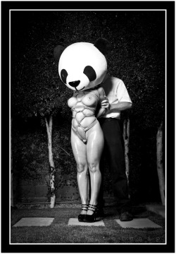 lightworship:  Panda Bare-©2012 lightworship- Buy