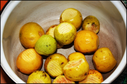 GUAVA/GUAYABA JUICE This juice is truly fantastic. Is fruity, frothy, and refreshing. We had it for 