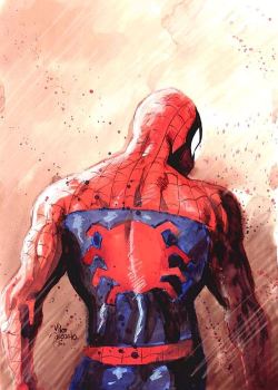 rockofeternity:  Spider-Man by Mike Deodato